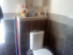 WC and tiling
